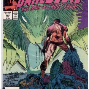 Daredevil #265, published by Marvel Comics in 1989.