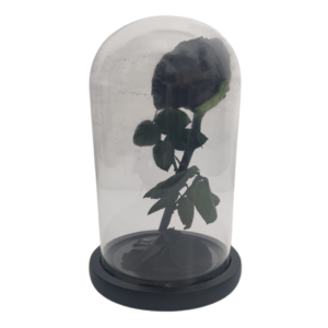 Preserved Real Rose Eternal Rose In Glass Dome