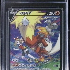 Blaziken V card from the Pokémon Silver Tempest Trainer Gallery set, identified by number TG14.