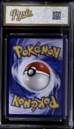 129255041